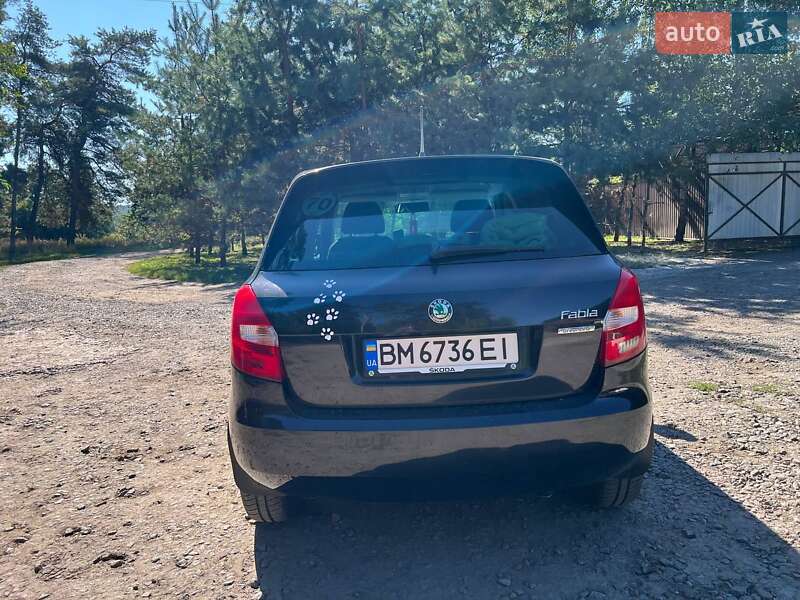 Хетчбек Skoda Fabia 2011 в Заводське