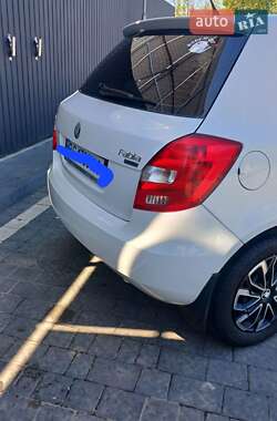Хэтчбек Skoda Fabia 2009 в Самборе