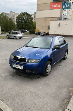 Хэтчбек Skoda Fabia 2003 в Каменец-Подольском