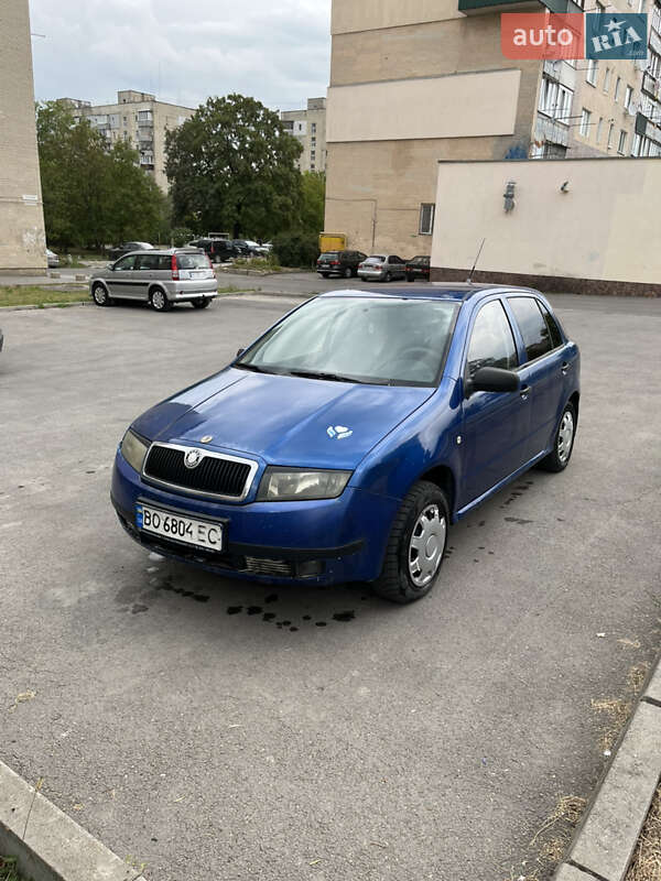 Хэтчбек Skoda Fabia 2003 в 
