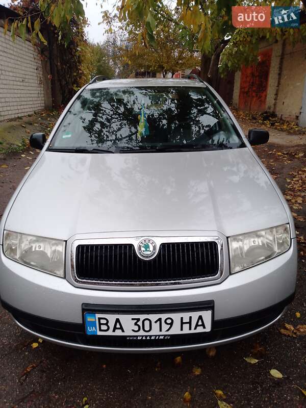 Універсал Skoda Fabia 2002 в Кропивницькому