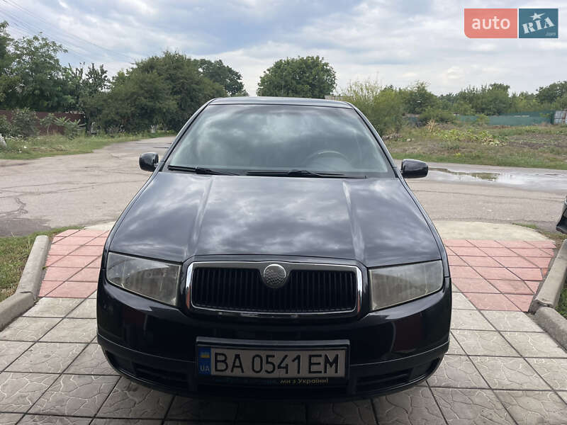 Універсал Skoda Fabia 2004 в Кропивницькому