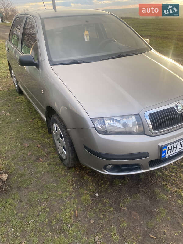 Хетчбек Skoda Fabia 2007 в Макарові