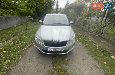 Хетчбек Skoda Fabia 2012 в Борщеві