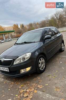 Хэтчбек Skoda Fabia 2010 в Тернополе
