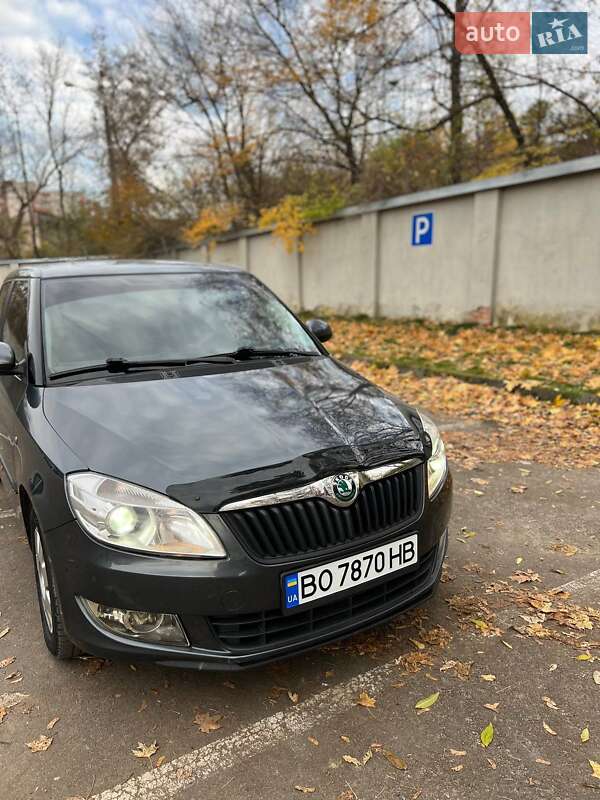 Хетчбек Skoda Fabia 2010 в Тернополі