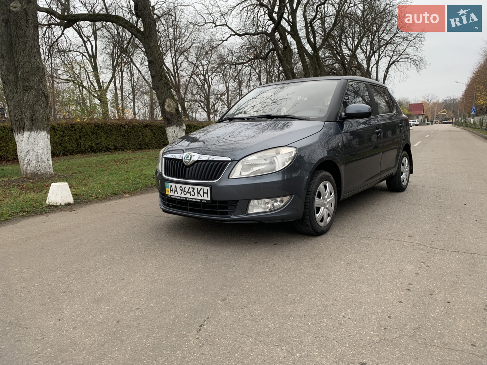 2011 Skoda Fabia - фото 1