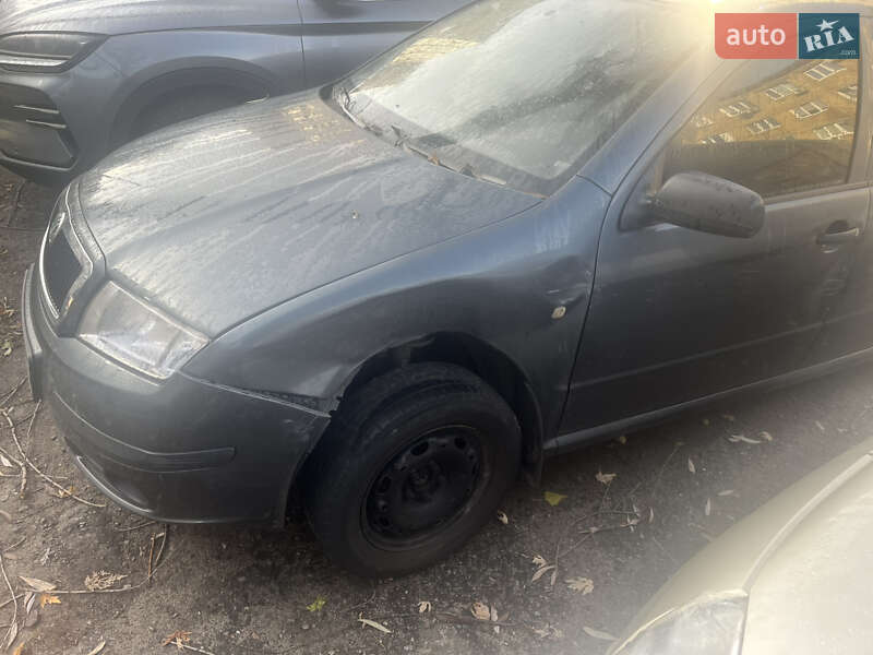 Хэтчбек Skoda Fabia 2007 в Киеве