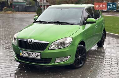 Хэтчбек Skoda Fabia 2013 в Житомире