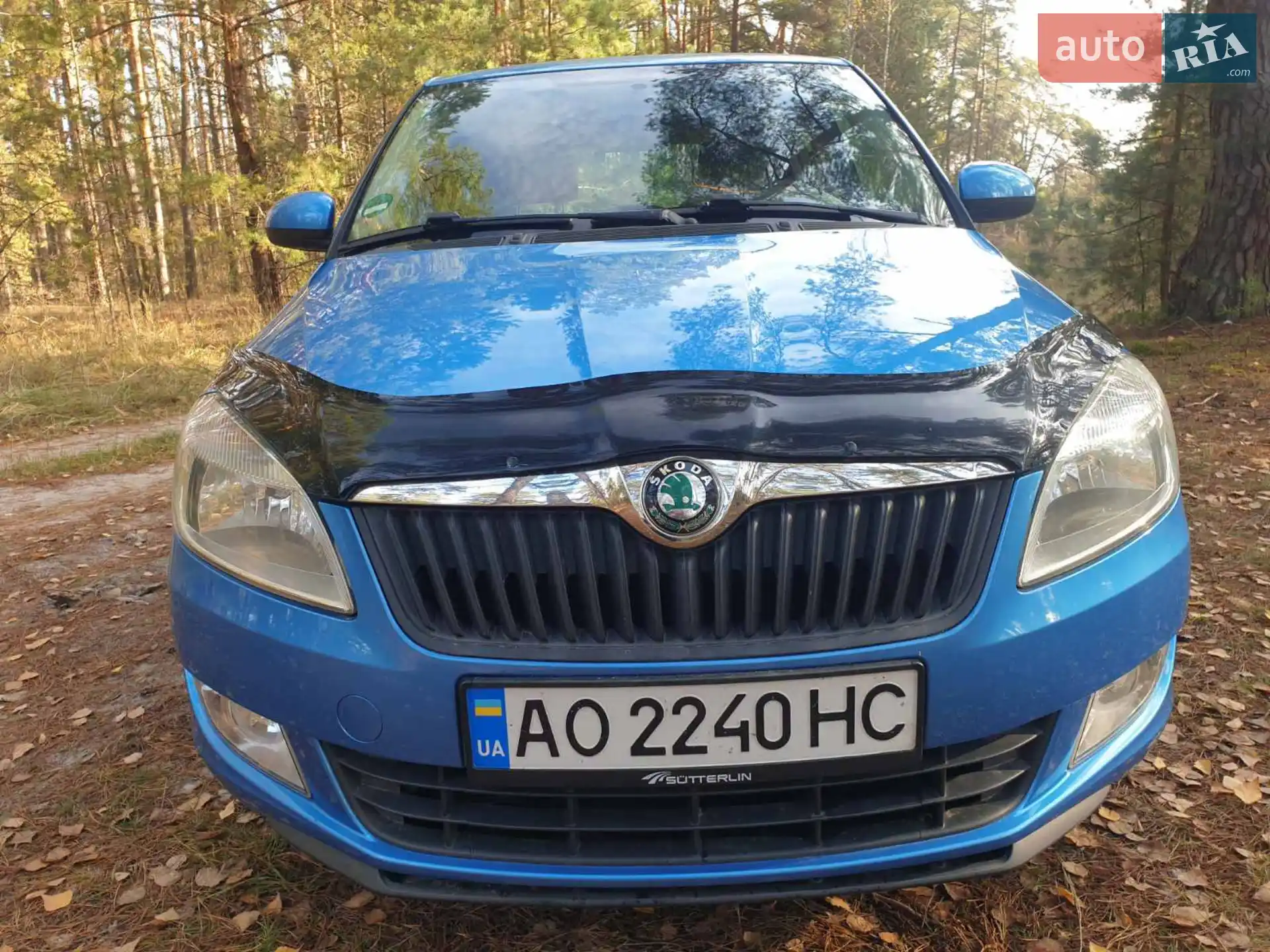 2012 Skoda Fabia - фото 1