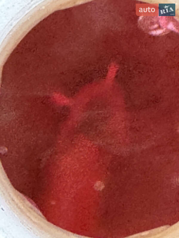 Хэтчбек Skoda Fabia 2008 в Ивано-Франковске