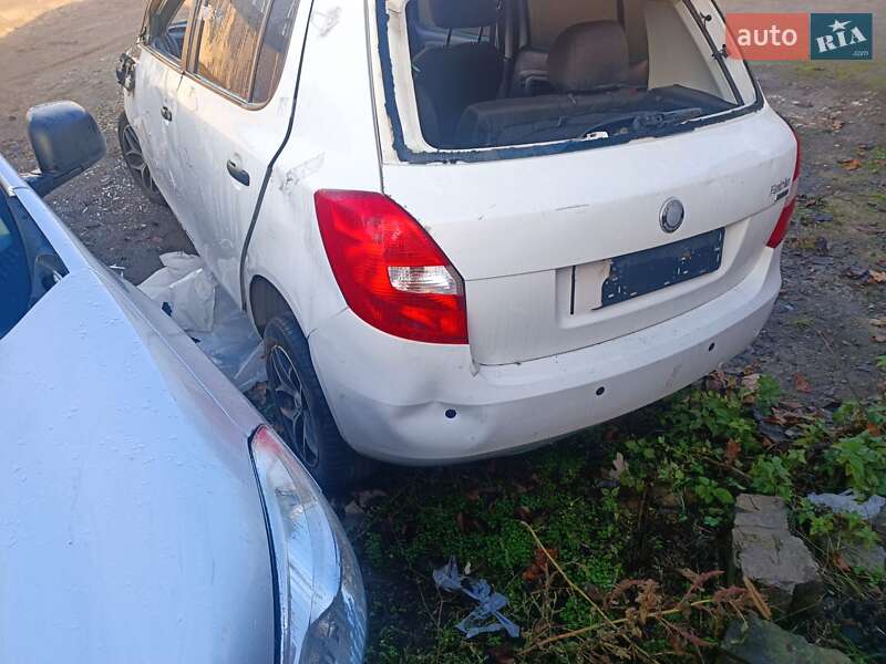 Хэтчбек Skoda Fabia 2010 в Днепре