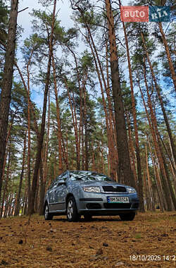 Універсал Skoda Fabia 2004 в Сумах