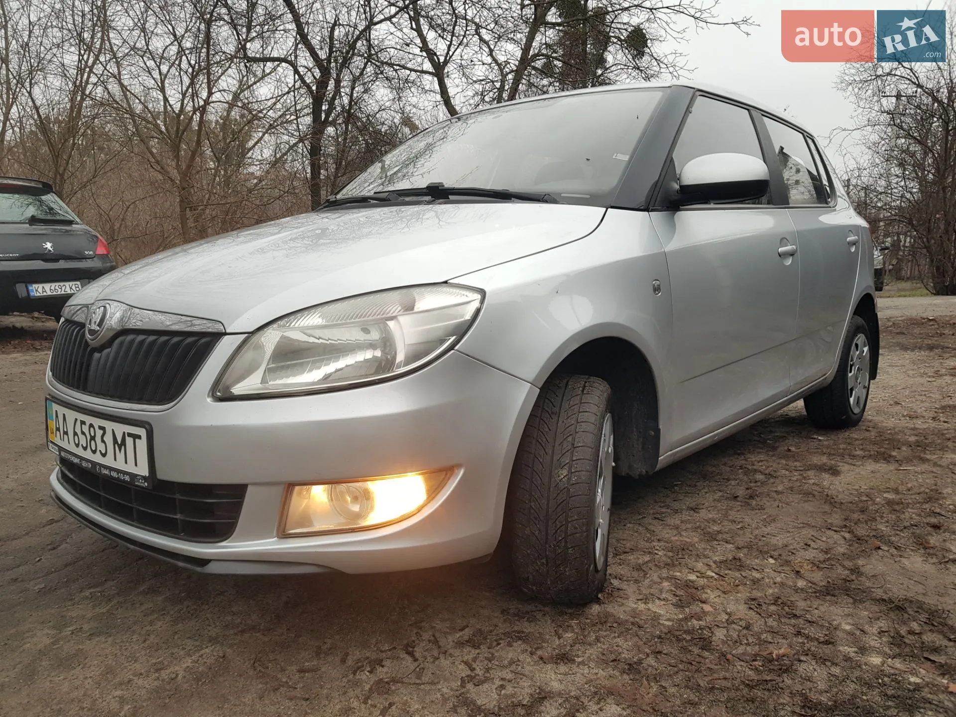 2013 Skoda Fabia - фото 1