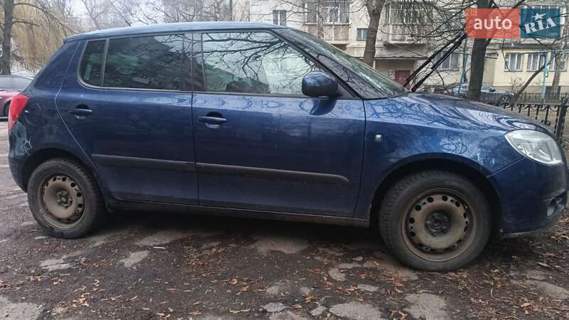 Хетчбек Skoda Fabia 2009 в Кременчуці