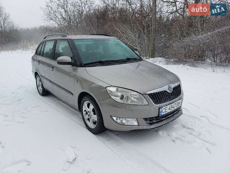 Універсал Skoda Fabia 2010 в Кіцмані