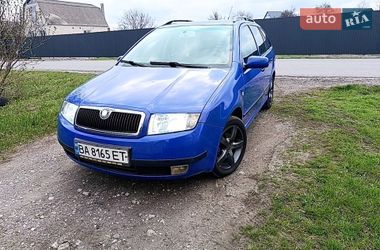 Універсал Skoda Fabia 2003 в Новомосковську
