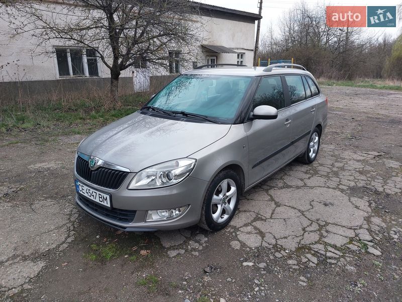 Універсал Skoda Fabia 2010 в Кіцмані