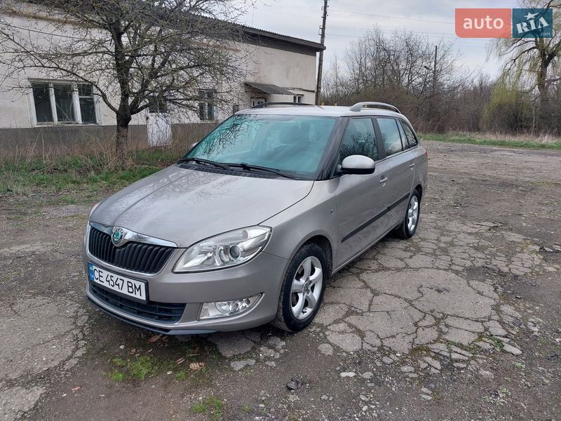 Універсал Skoda Fabia 2010 в Кіцмані