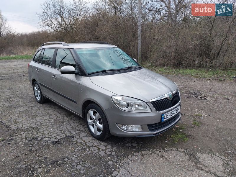 Універсал Skoda Fabia 2010 в Кіцмані