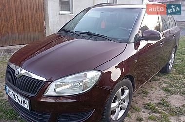 Хетчбек Skoda Fabia 2010 в Хусті