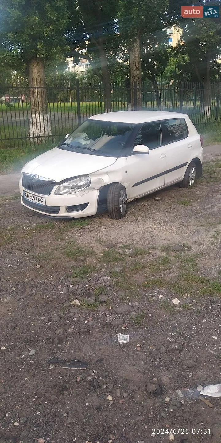 2011 Skoda Fabia - фото 1