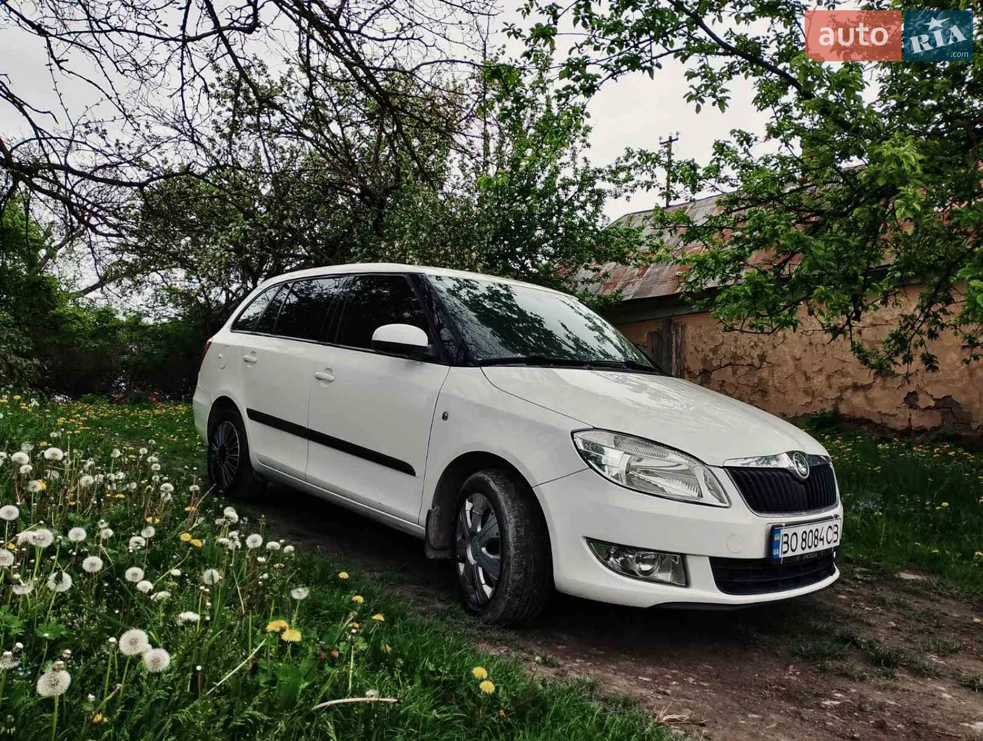 2010 Skoda Fabia - фото 1