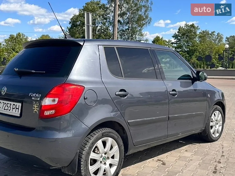 Skoda Fabia 2010 VIN TMBES25J9B3072698 фото оголошення 18 з 70