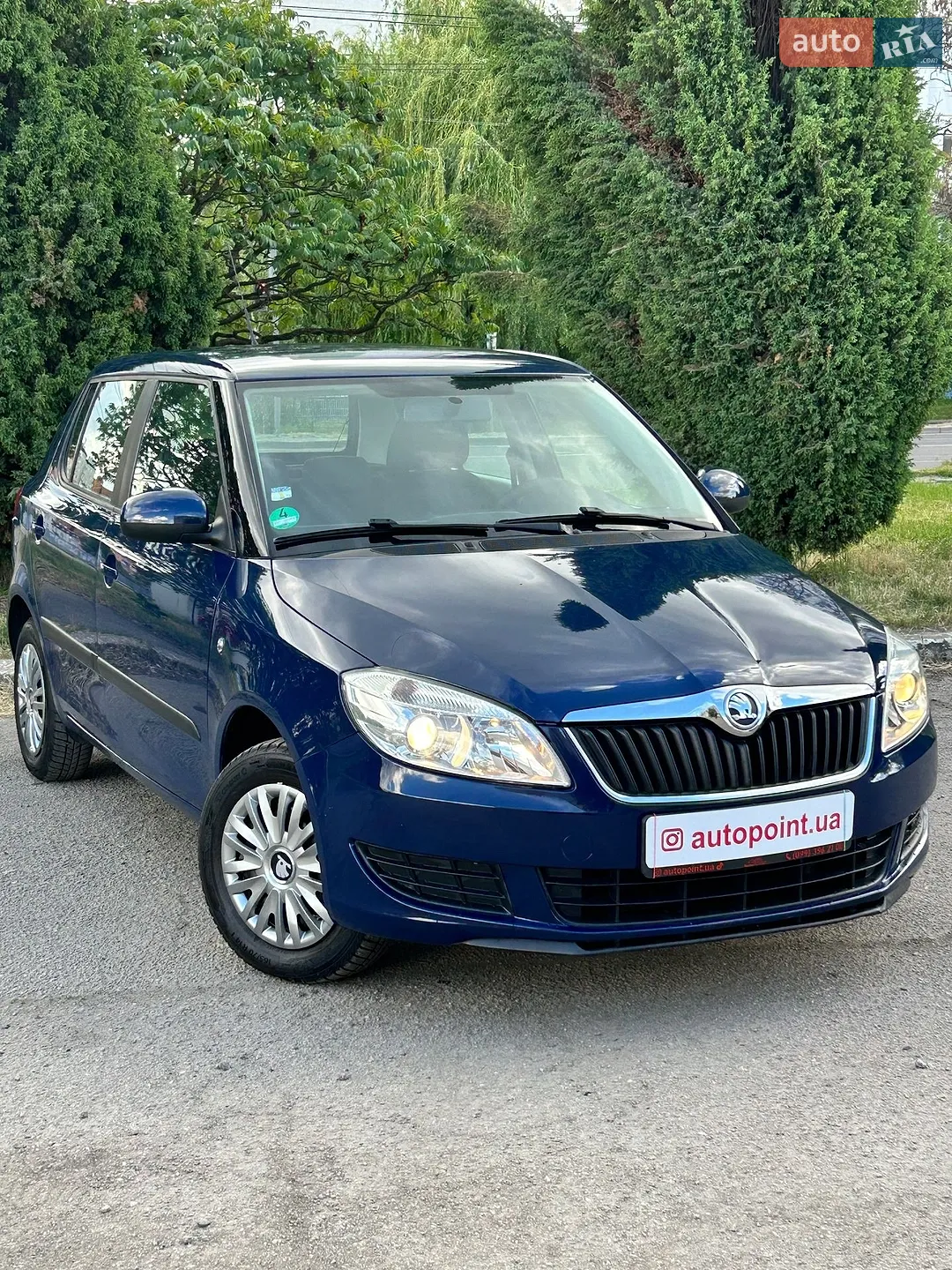 2013 Skoda Fabia - фото 1
