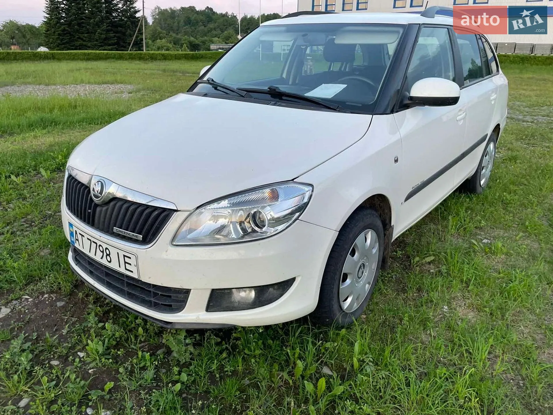 2013 Skoda Fabia - фото 1
