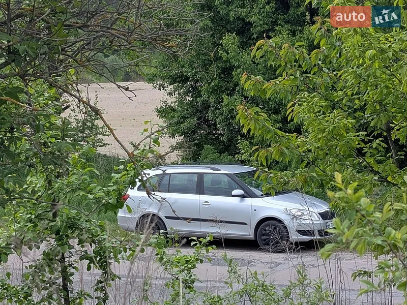 Skoda Fabia 2011 VIN TMBJM25J1C3028818 фото оголошення 8 з 41