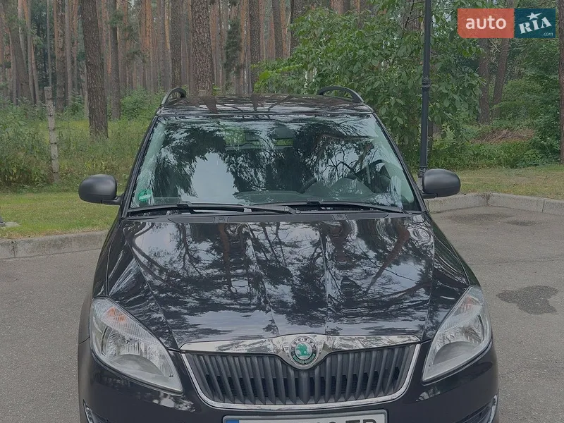 Skoda Fabia 2011 VIN TMBJM25J5B3169079 фото оголошення 3 з 54