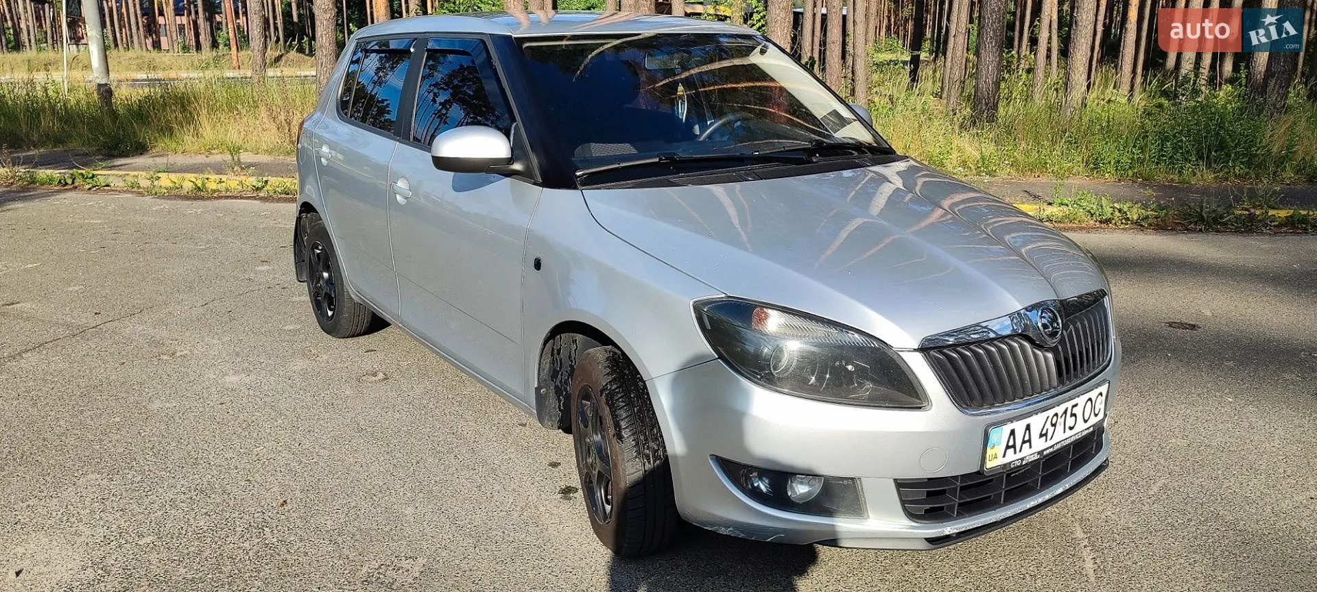 2013 Skoda Fabia - фото 1