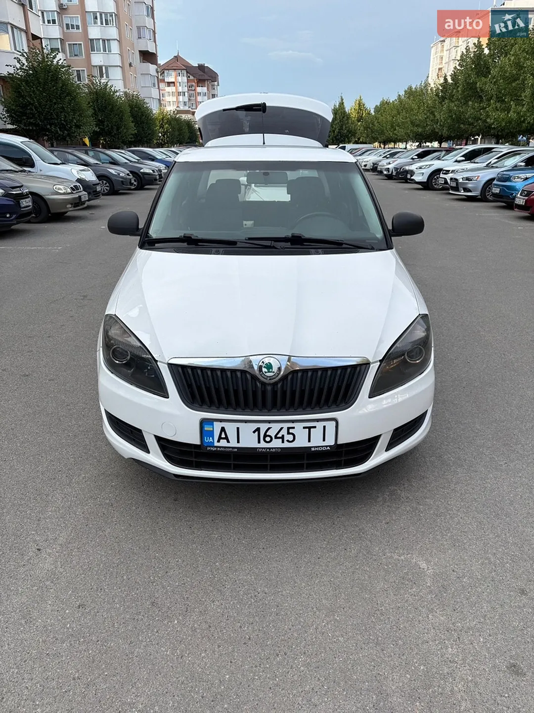 2010 Skoda Fabia - фото 1