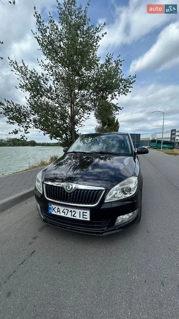 2010 Skoda Fabia - фото 1