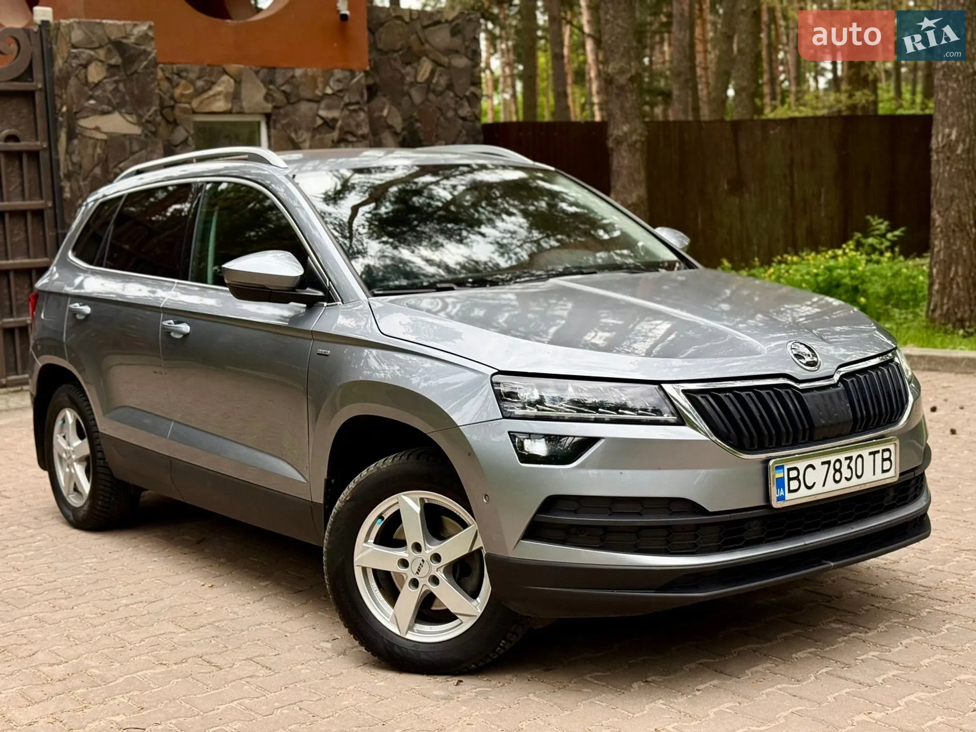 2021 Skoda Karoq - мініатюра 3