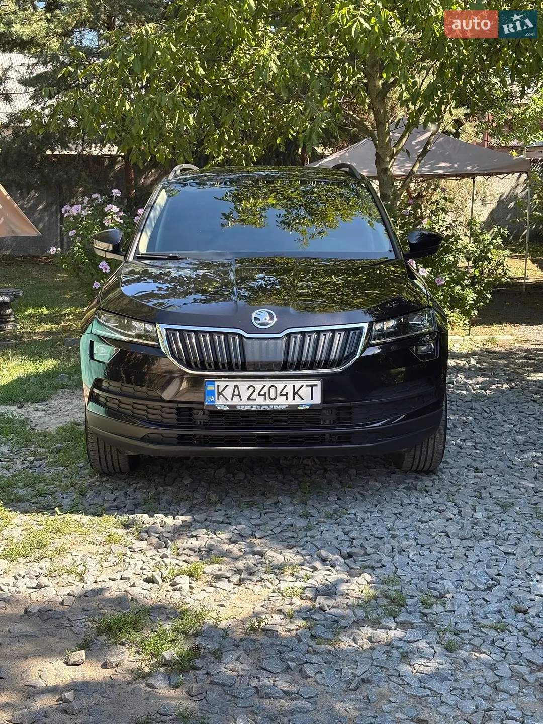 2019 Skoda Karoq - мініатюра 4