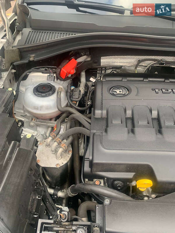 Внедорожник / Кроссовер Skoda Kodiaq 2018 в Сарнах