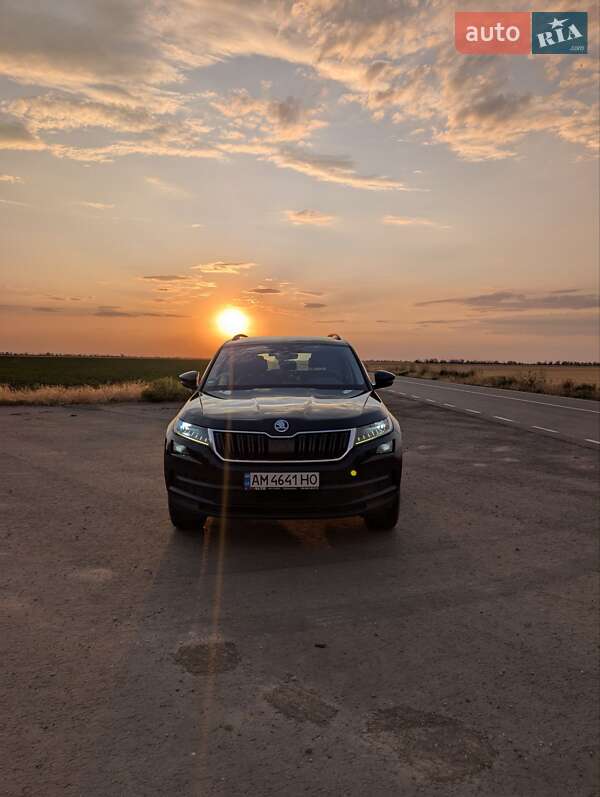 Внедорожник / Кроссовер Skoda Kodiaq 2019 в Николаеве