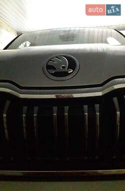 Внедорожник / Кроссовер Skoda Kodiaq 2024 в 