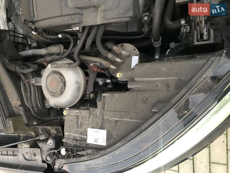 Внедорожник / Кроссовер Skoda Kodiaq 2020 в Костополе