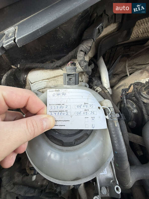 Внедорожник / Кроссовер Skoda Kodiaq 2019 в Александрие