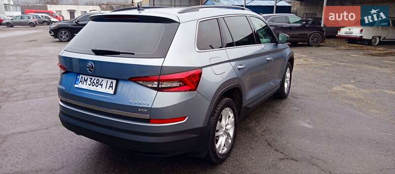 Внедорожник / Кроссовер Skoda Kodiaq 2019 в Житомире фото 10 Внедорожник / Кроссовер Skoda Kodiaq 2019 в Житомире