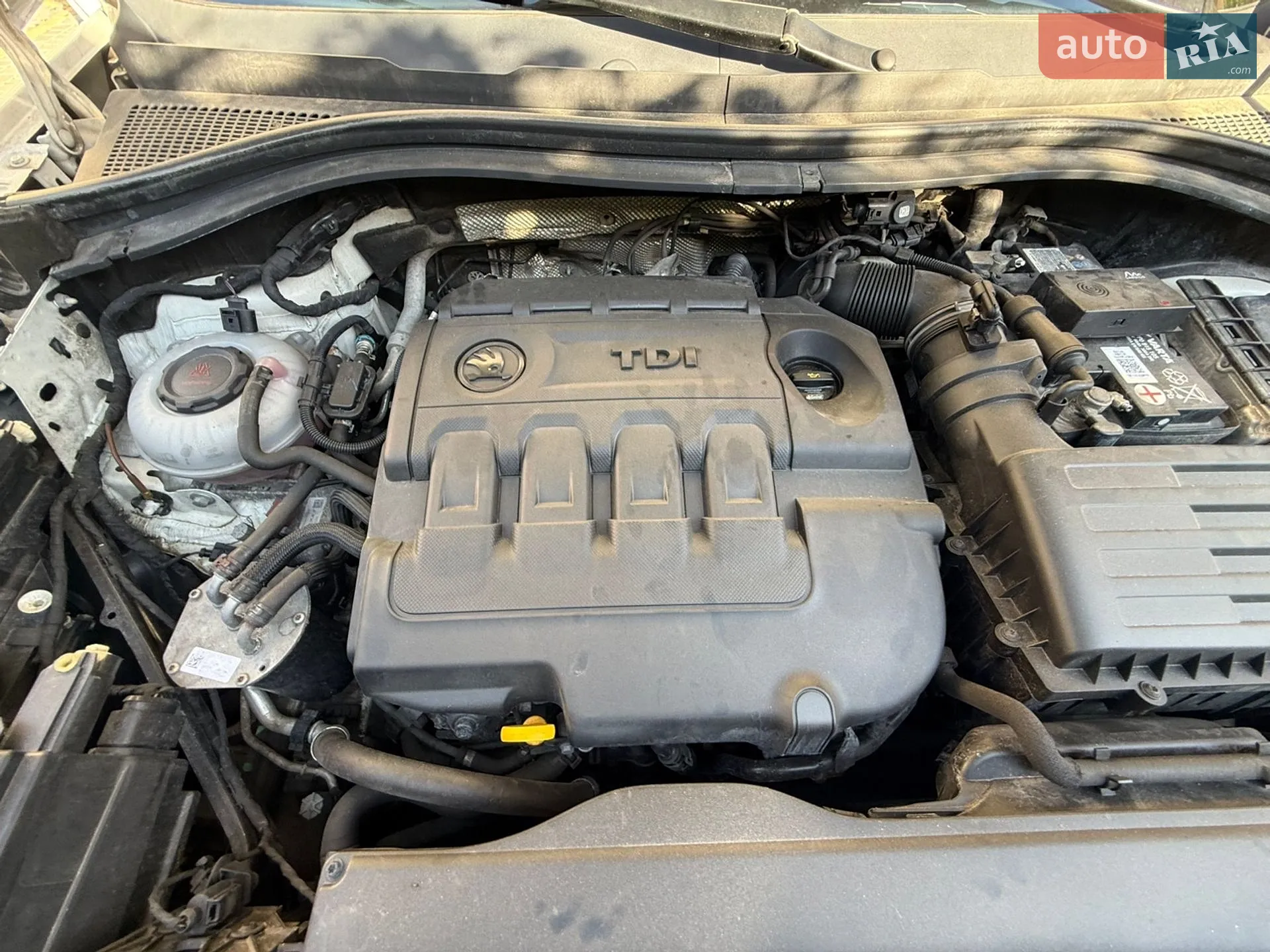 2019 Skoda Kodiaq - мініатюра 83