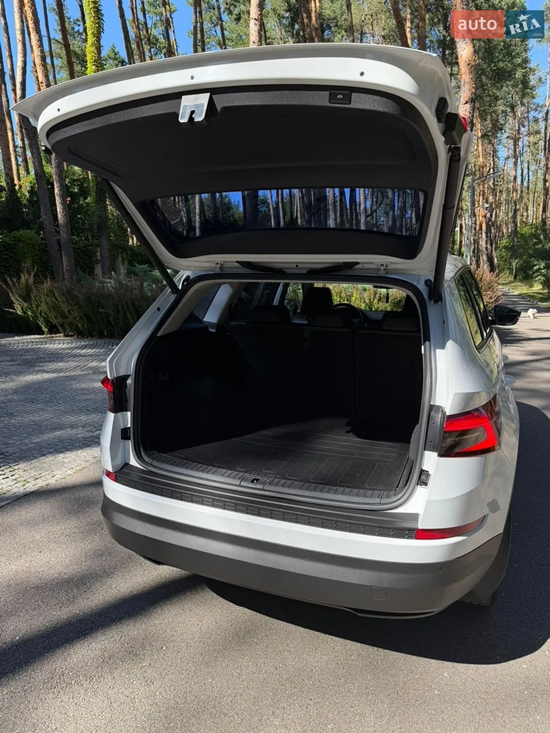 2020 Skoda Kodiaq - мініатюра 11