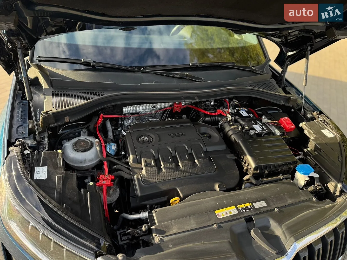 2019 Skoda Kodiaq - мініатюра 44