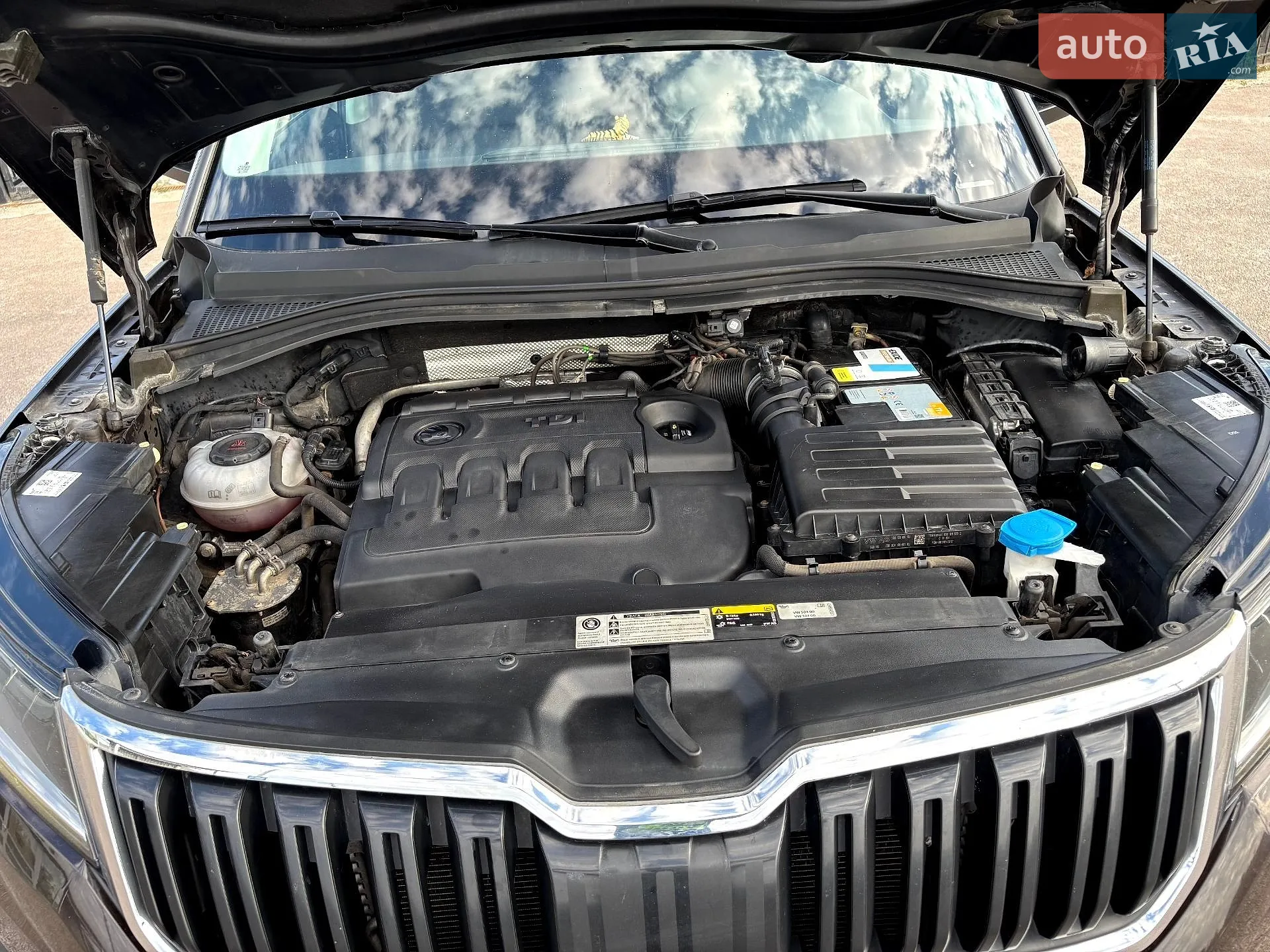 2019 Skoda Kodiaq - мініатюра 11