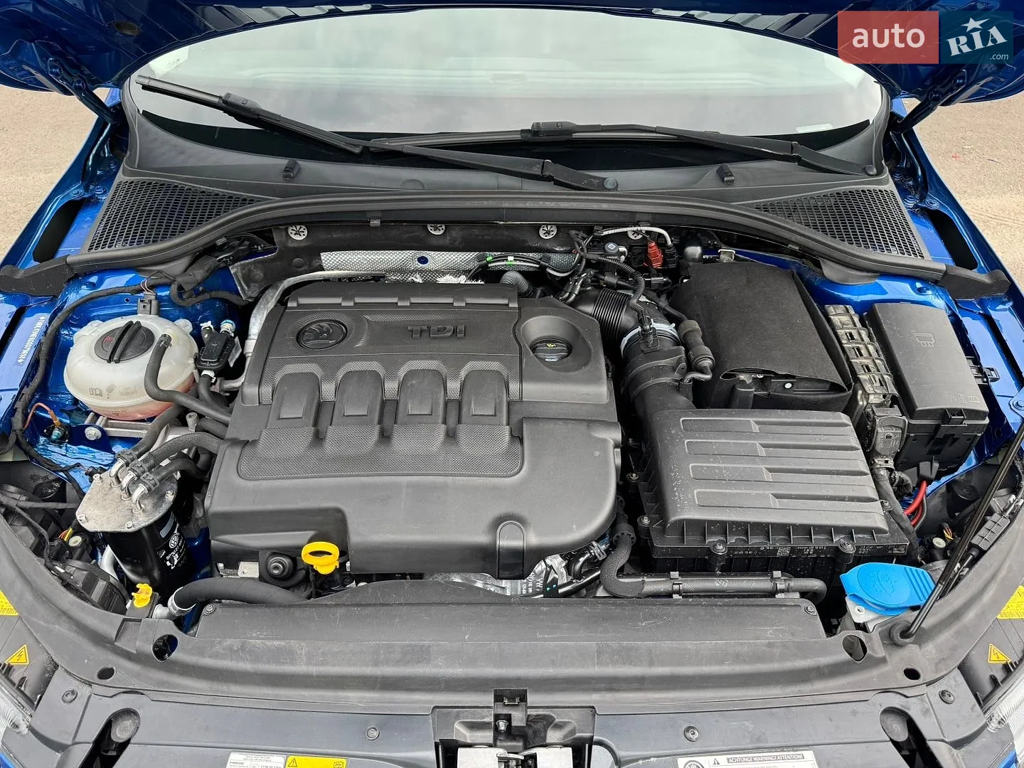 2015 Skoda Octavia - мініатюра 54