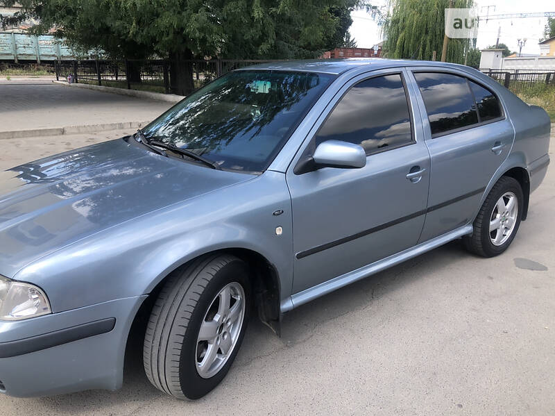 Хэтчбек Skoda Octavia 2002 в Крыжополе