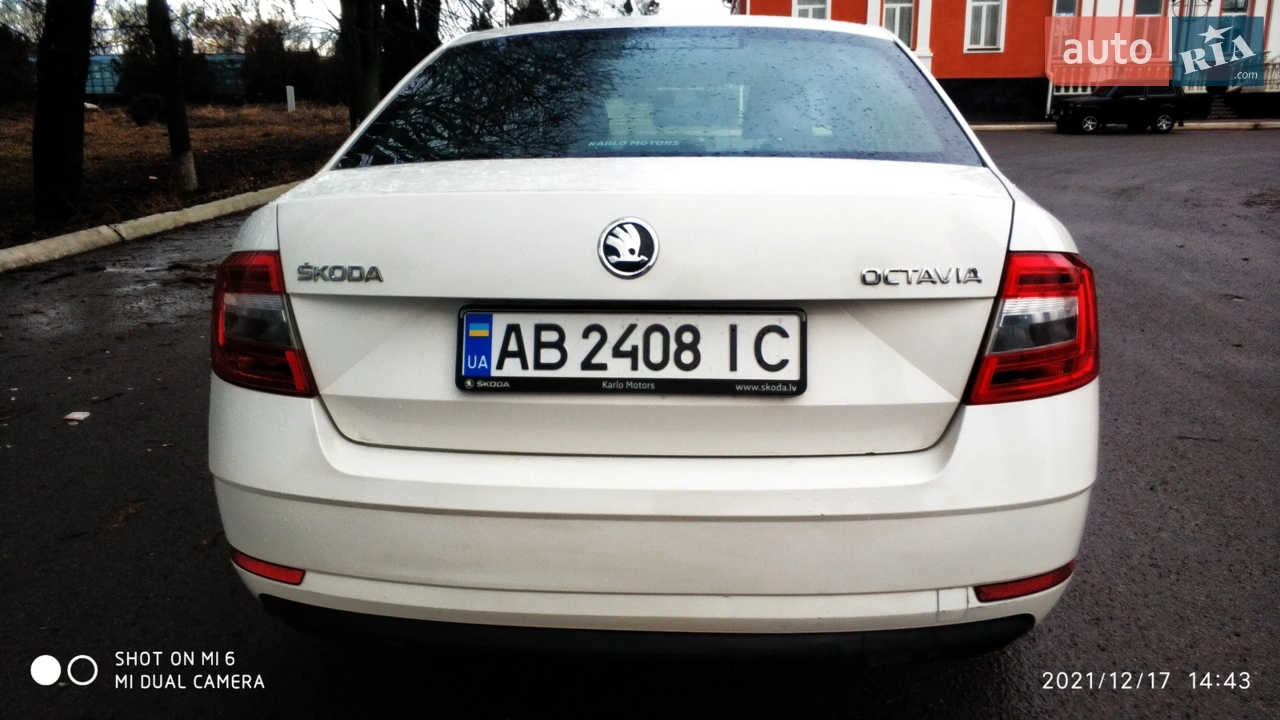 2017 Skoda Octavia - мініатюра 12